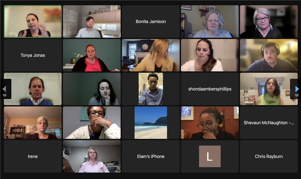 Screenshot of participants 2